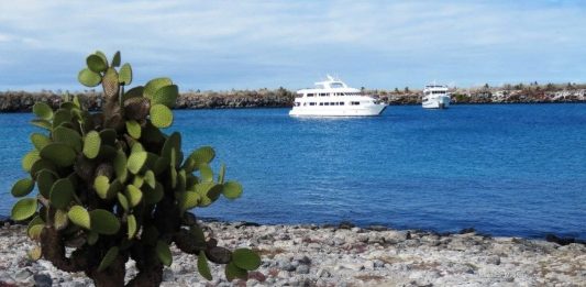 Galapagos Islands Cruise