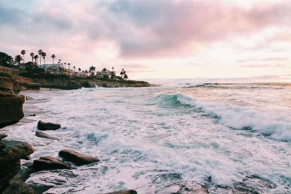 Sea Beach