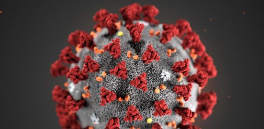 Coronavirus