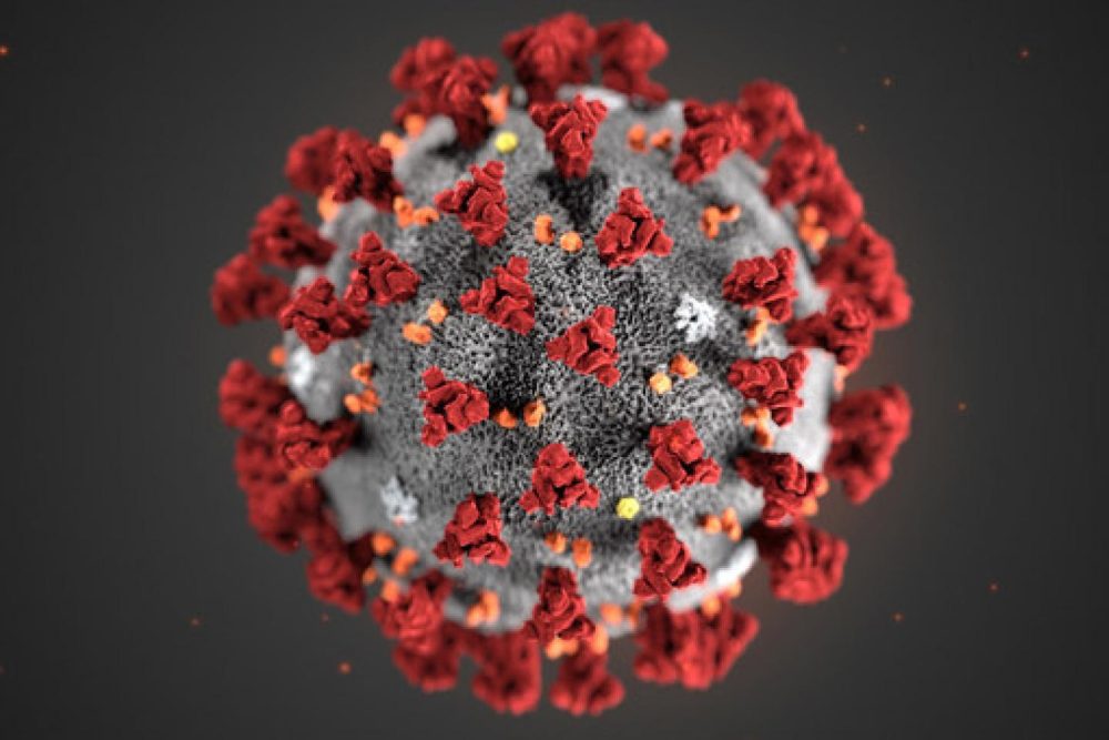 Coronavirus