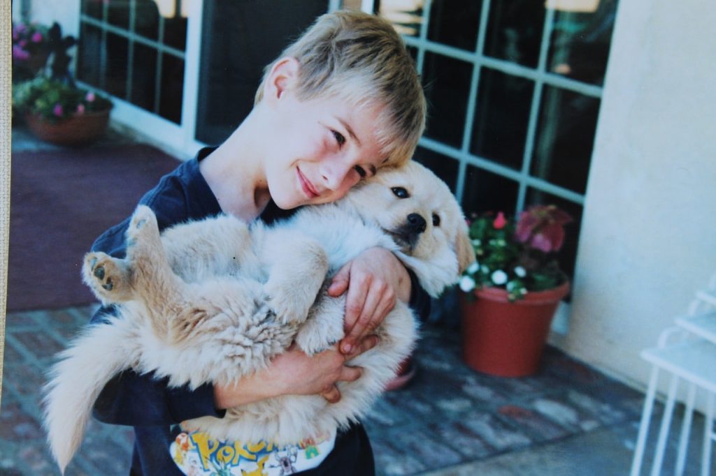 Pet dogs
