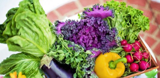 Healthiest foods in the world