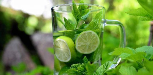 Health Benefits of Mint