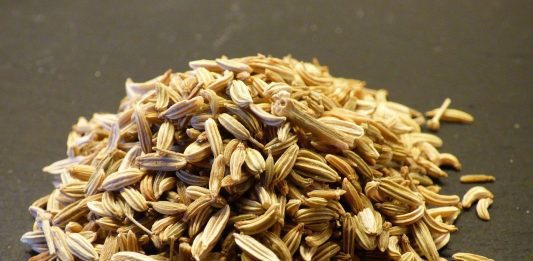 Fennel seeds