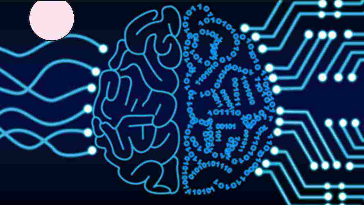 Human Brain