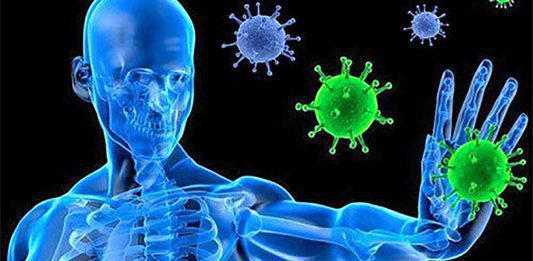 Immunity booster habits