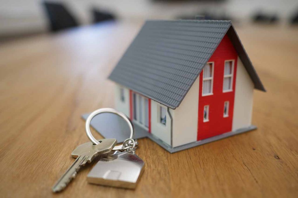 Flipping and Renting Properties