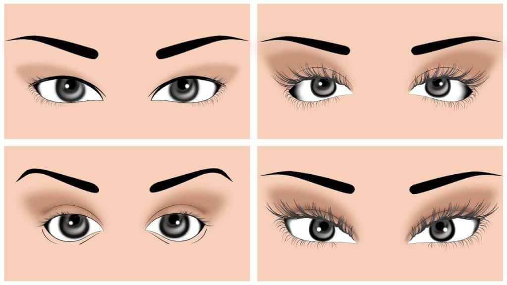 Eye Shapes
