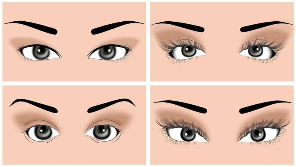 Eye Shapes