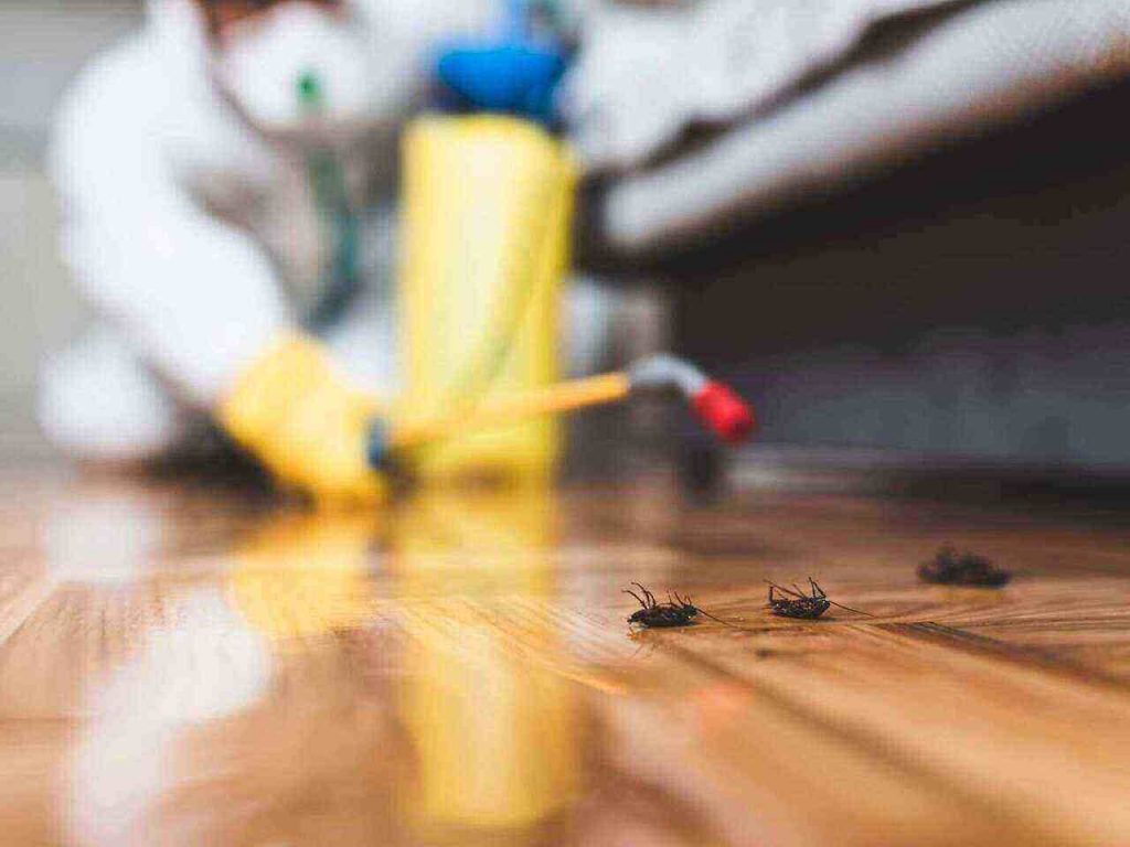 Pest Control