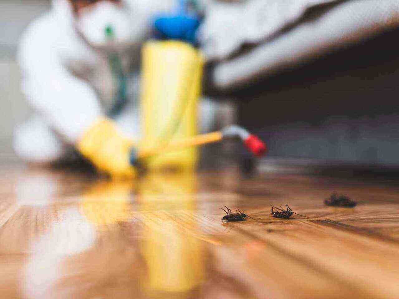 Pest Control