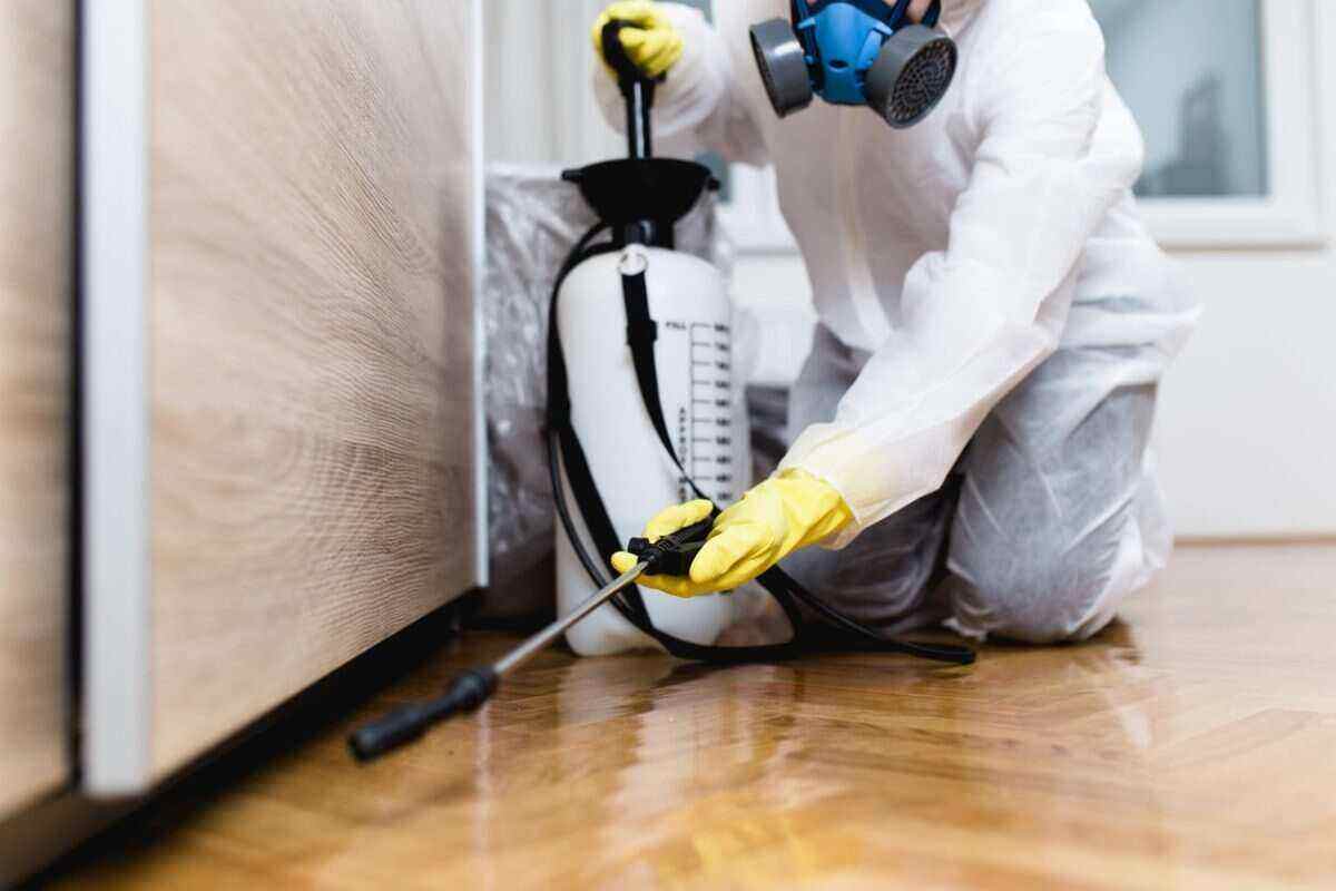 The Importance of Pest Control
