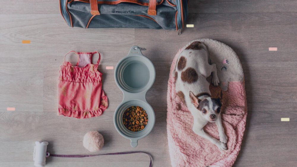Pet Products