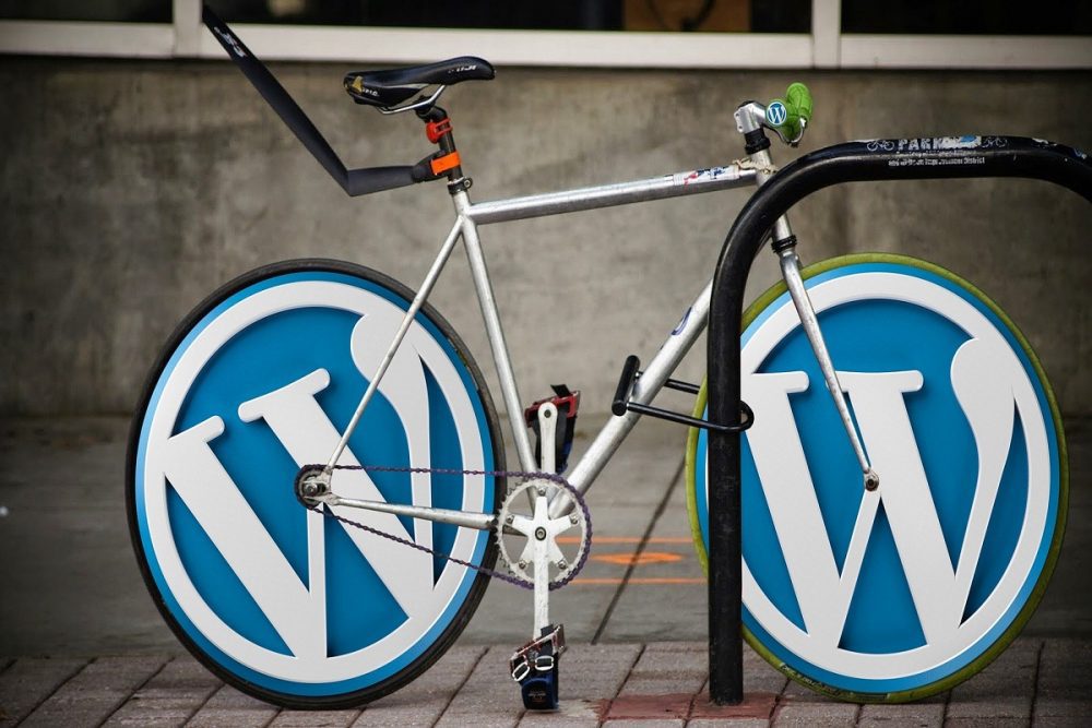 WordPress Development Agency