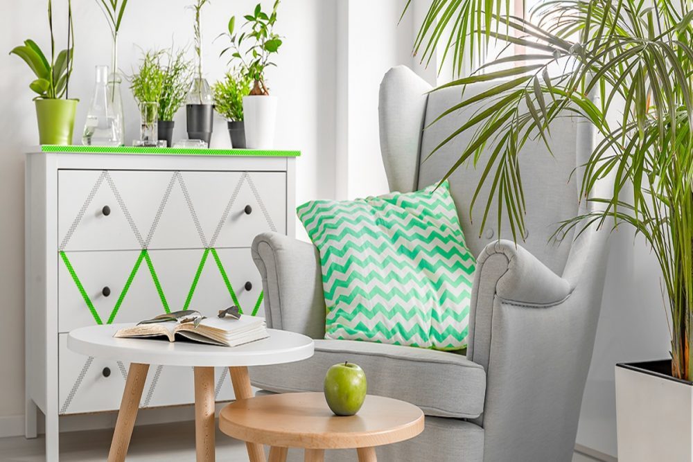 Create A Plant Loving Home