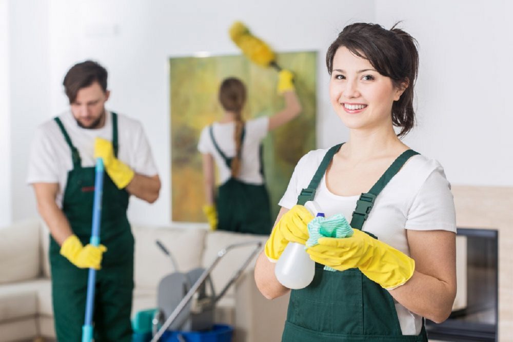 Professional Cleaners