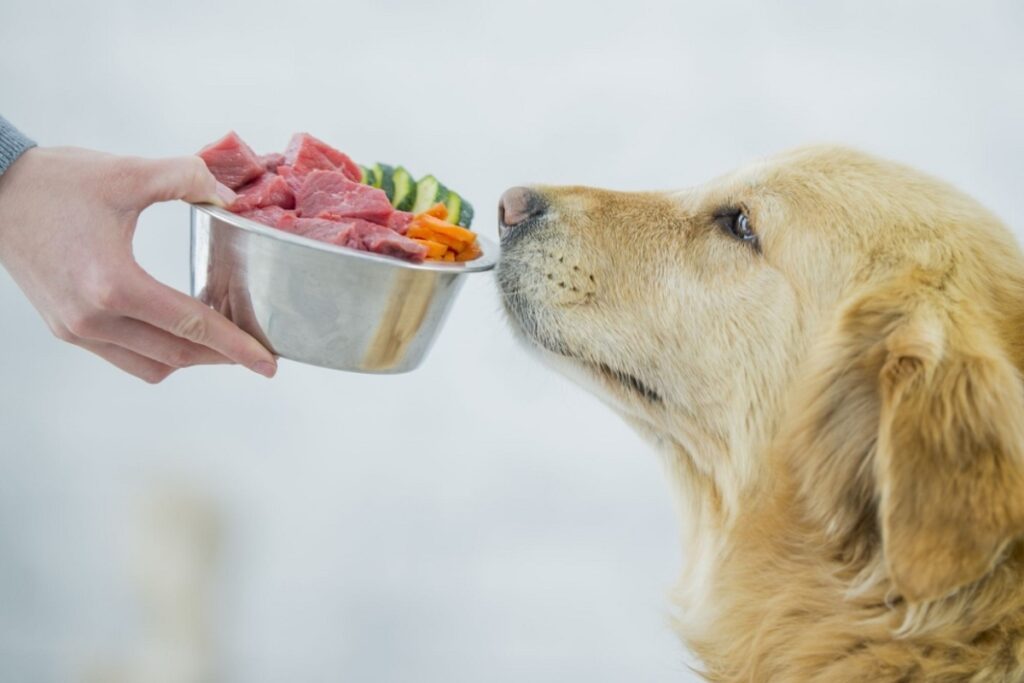 Raw Meat For Dogs