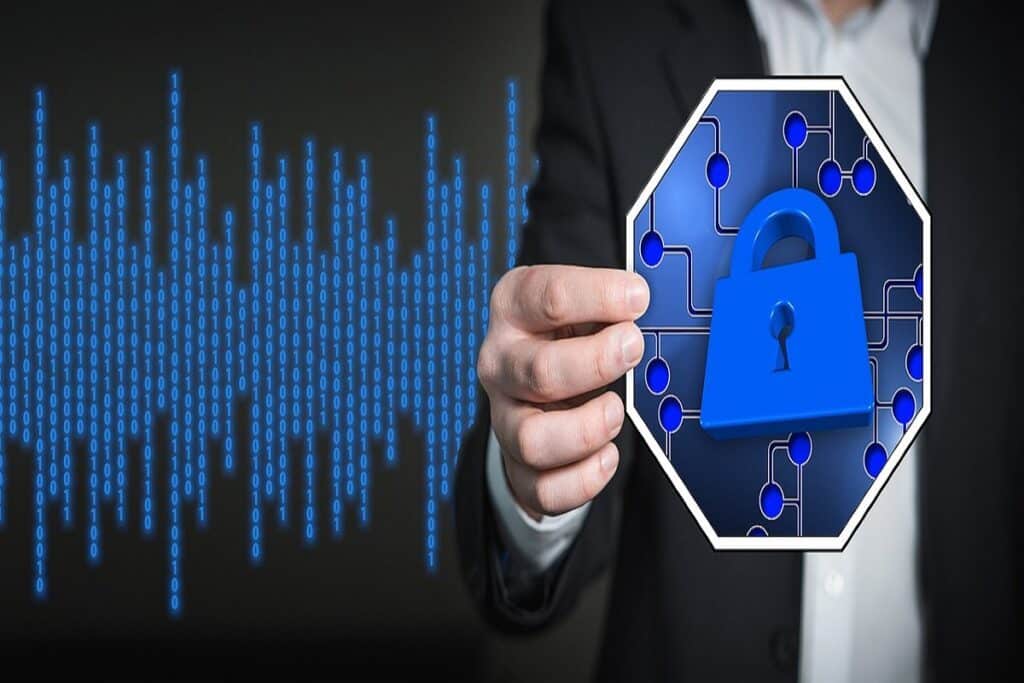 Web Security Testing
