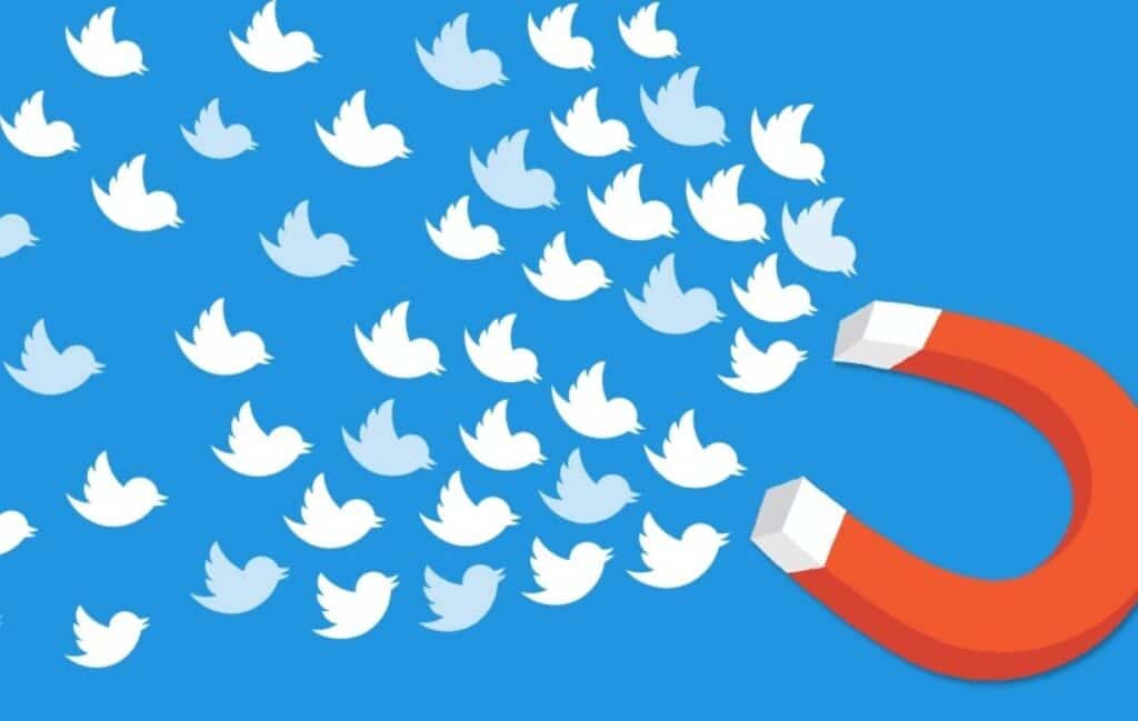 Losing twitter followers