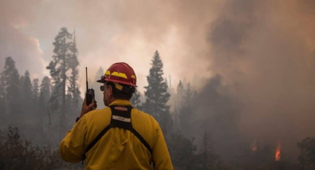 US wildfire