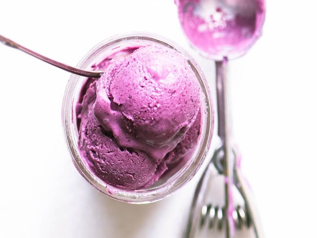  Blueberry Frozen Yogurt