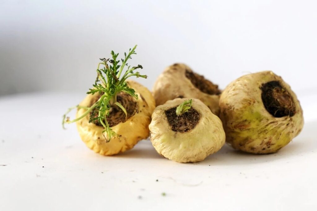 Maca Root