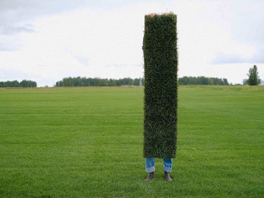 look as full and lush as a lawn with real grass