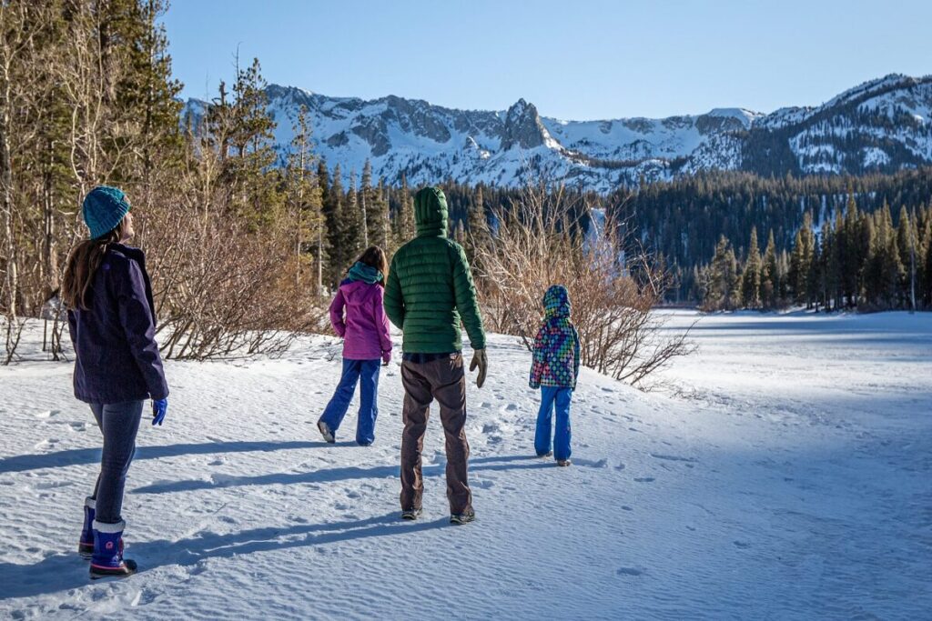 Family Vacation Trend