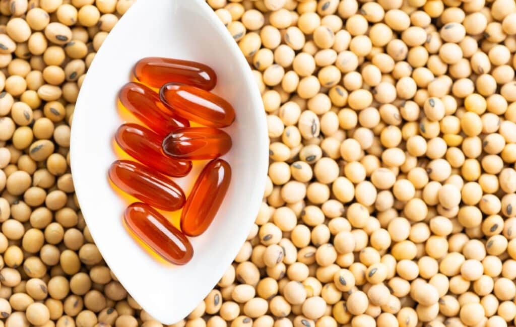 Lecithin
