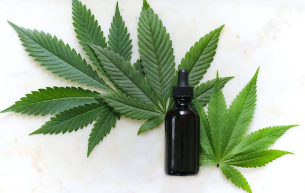 Strains Of Cannabis