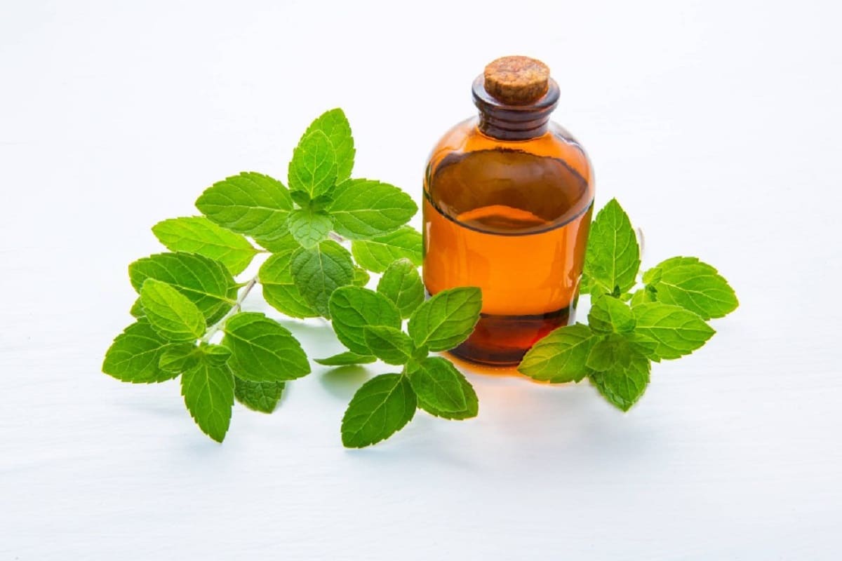 Types of Essential Oils