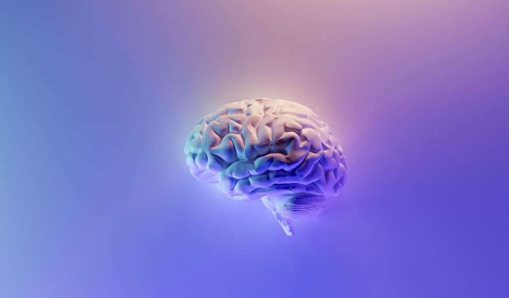 Brain Fog