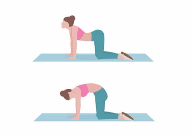 cat cow pose