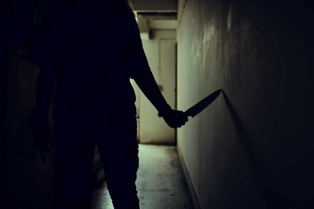 indian thriller movies