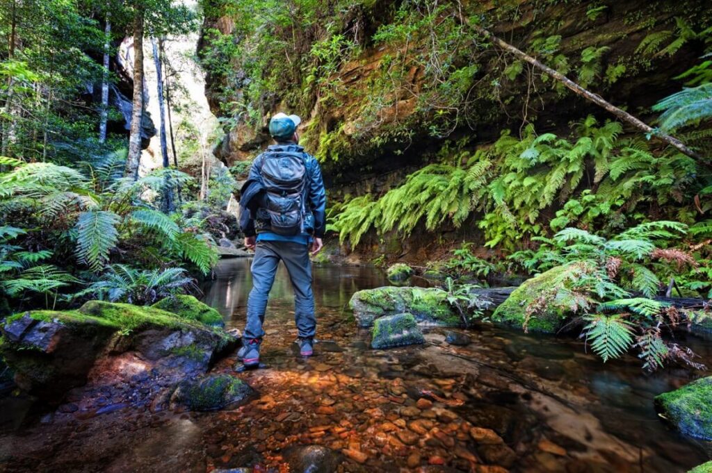Australian Hike
