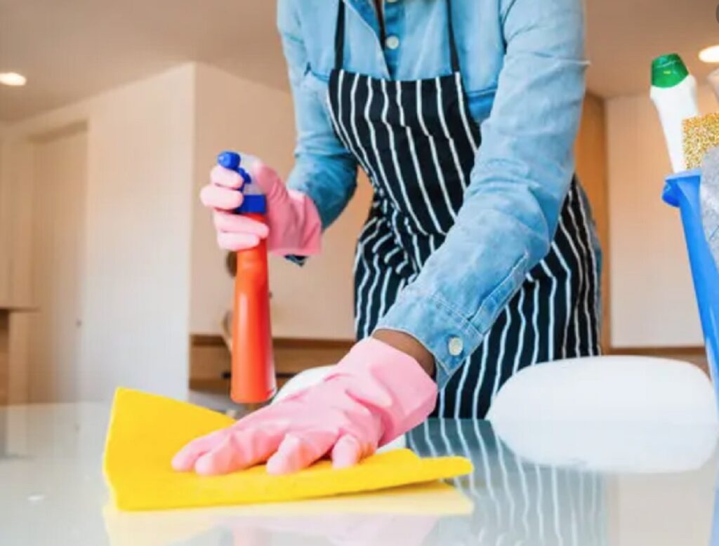 Quickly Clean House