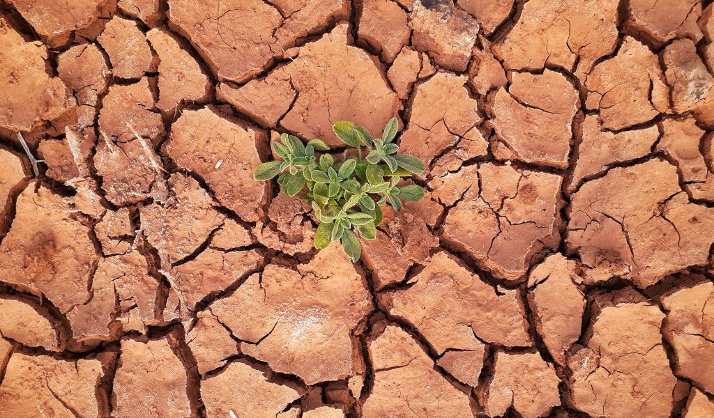 Global Warming