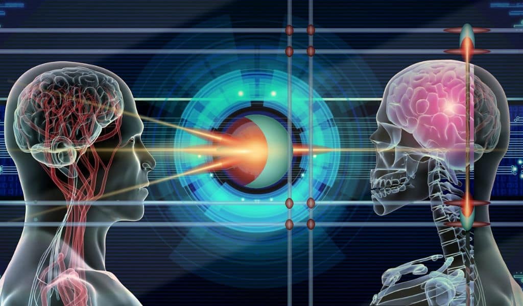 Human Brain Secret