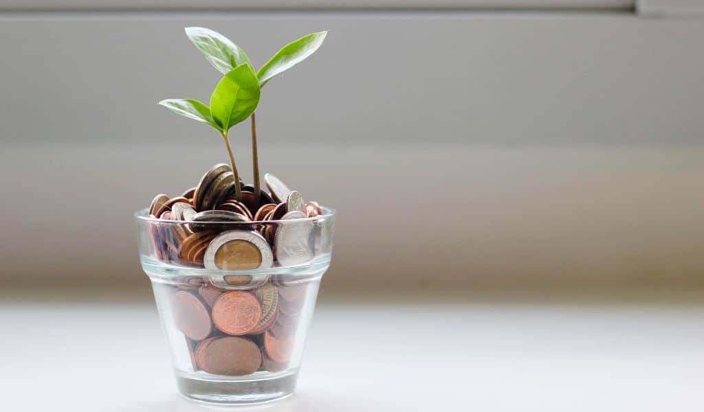 Money Saving Tips