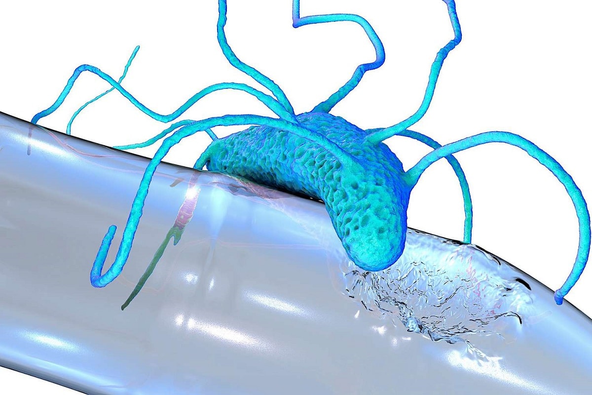 Scientists Discover Microbes that Can Digest Plastics