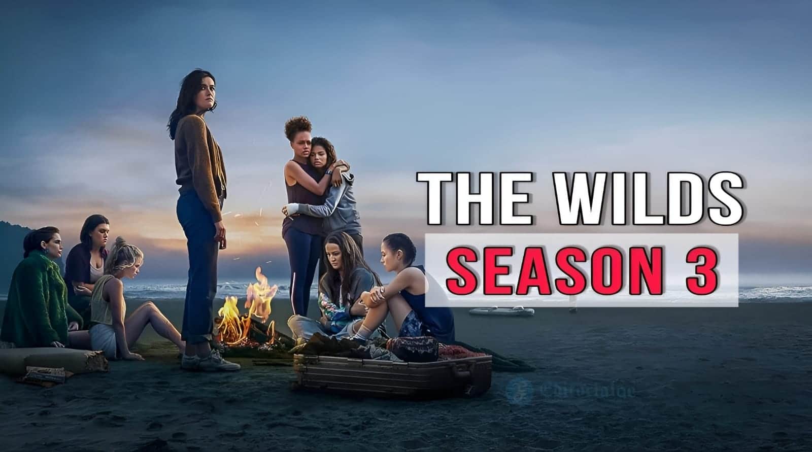 The Wilds Season 3