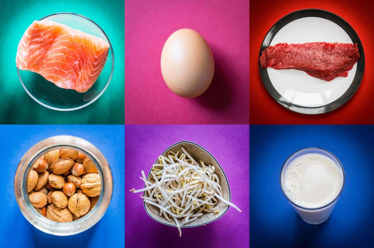 protein rich foods