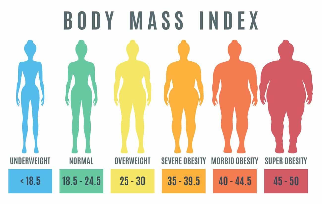 body mass index