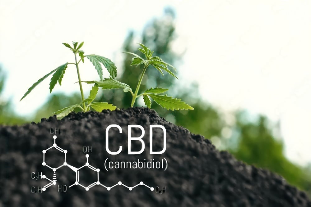 cannabidiol