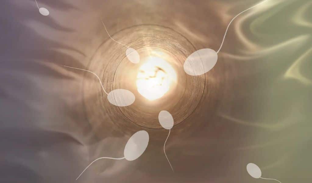 AI for IVF Embryos