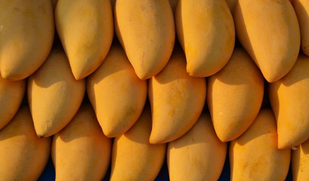 Benefits of Dried Mango