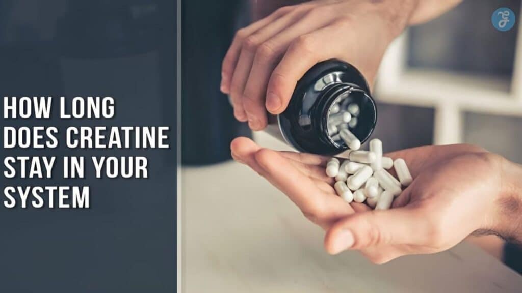 How Long Does Creatine Stay In Your System