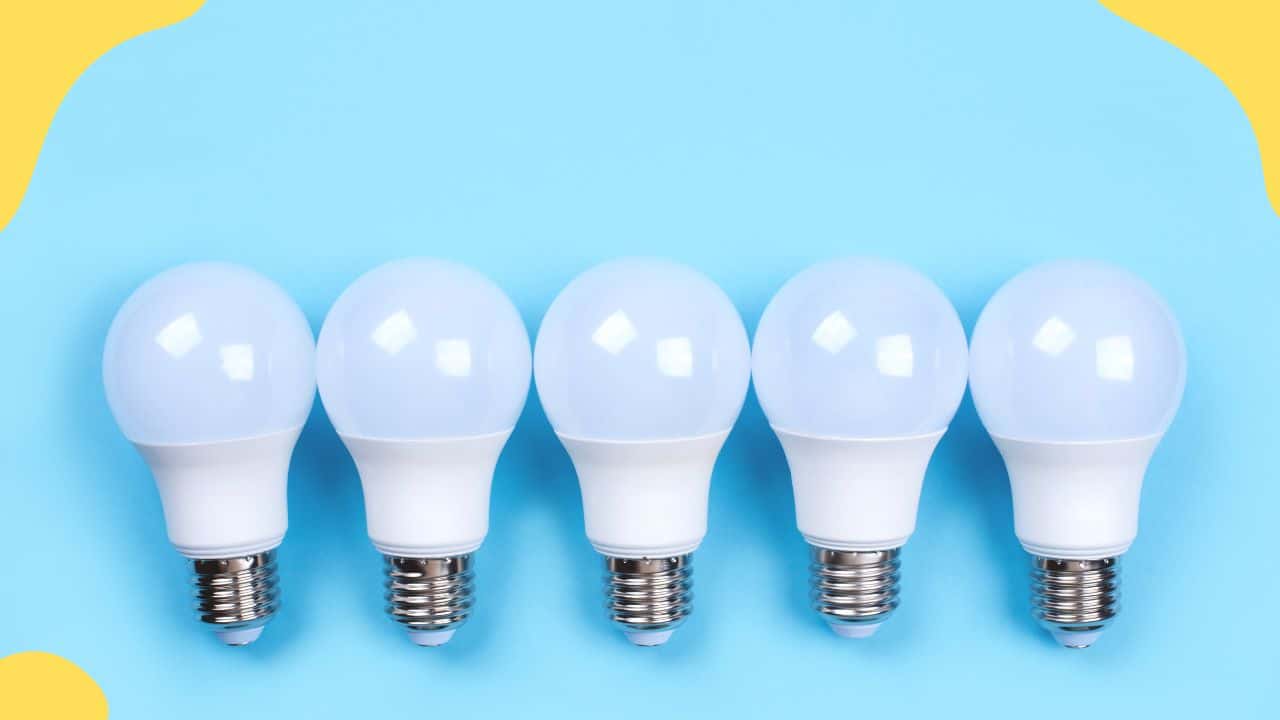 LED Light Bulbs
