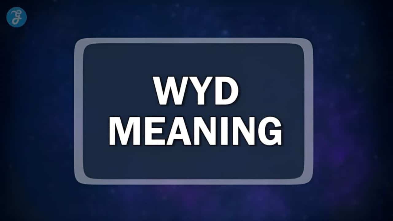 WYD Meaning
