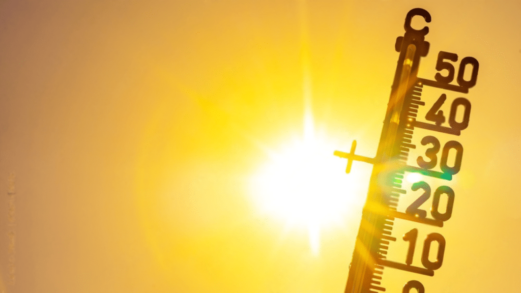 europe heatwave